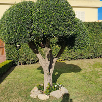 Giardiniere Manutentore