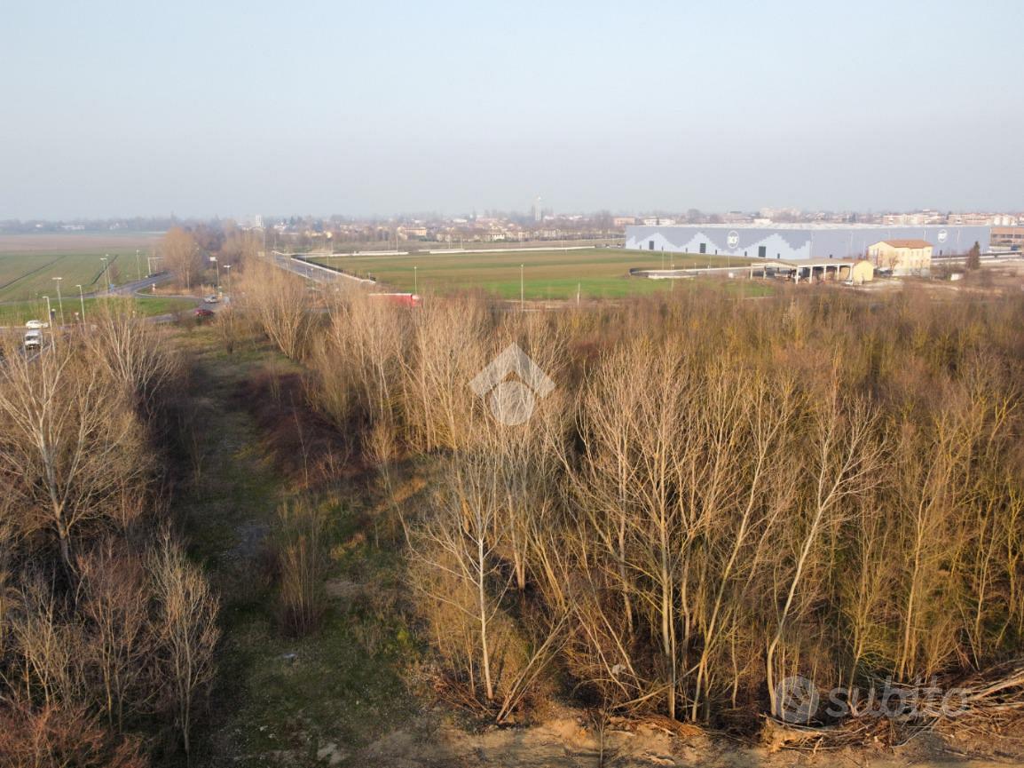 TER. AGRICOLO A BAGNOLO IN PIANO - Vista 5