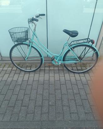 bici con cestino 