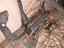 Immagine 13