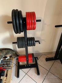 rastrelliera porta dischi per palestra 