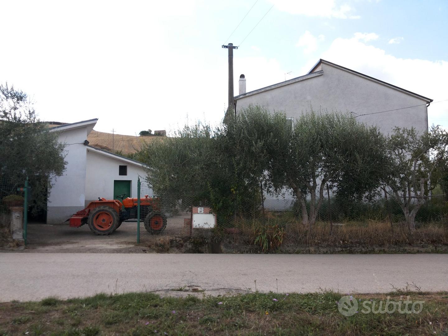 Villetta rustica con oliveto pianeggiante - Vista 2
