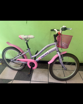 Bicicletta 20 pollici