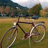 bici bicicletta city bike trekking uomo donna