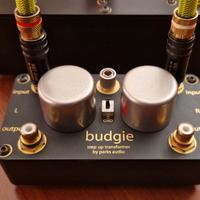 Ribasso Step-Up Phono Park Audio  Budgie