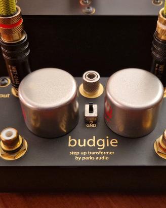 Ribasso Step-Up Phono Park Audio  Budgie