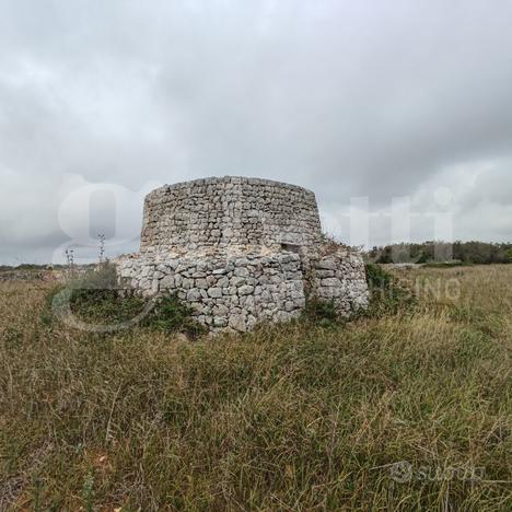 Baita/Chalet/Trullo Presicce-Acquarica