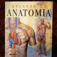 Atlante di anatomia 