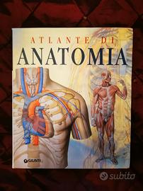 Atlante di anatomia 