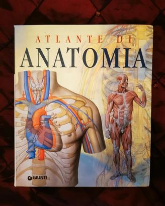 Atlante di anatomia 
