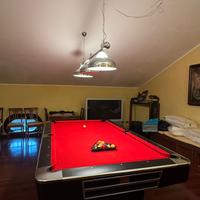 Tavolo da Biliardo
