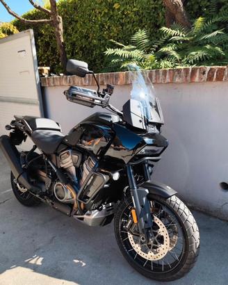 HARLEY DAVIDSON Pan America special 1250 del 2022