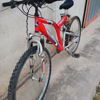 Mountainbike usata