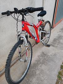 Mountainbike usata