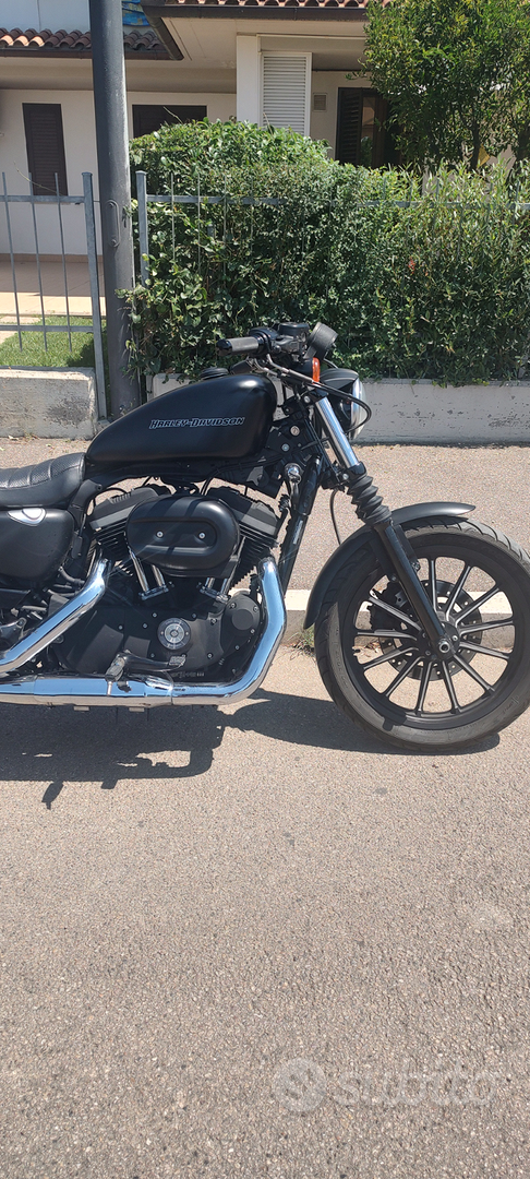 Harley davidson sportster 883 IRON Moto e Scooter In vendita a Grosseto
