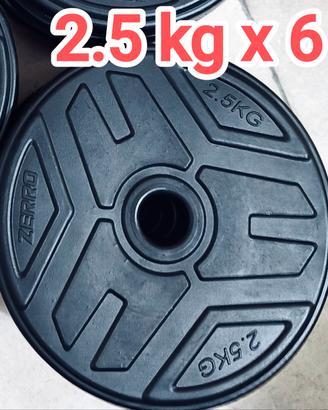 Set dischi sabbia foro 30 mm, 6 pezzi da 2.5 kg