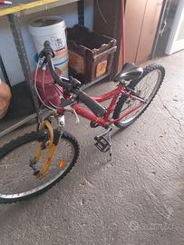 bicicletta bambino 