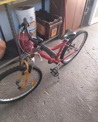 bicicletta bambino 