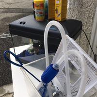 Acquario completo di litri 24