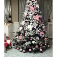 Albero