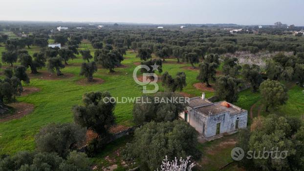 Terreno agricolo - Ostuni