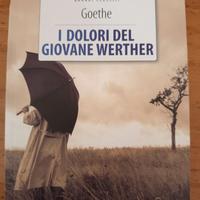 I dolori del giovane Werther, Goethe