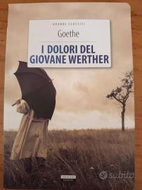 I dolori del giovane Werther, Goethe