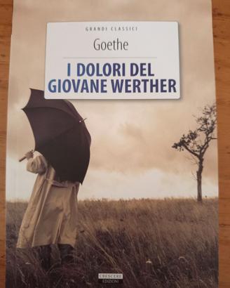 I dolori del giovane Werther, Goethe