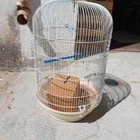 gabbia voliera  per uccelli