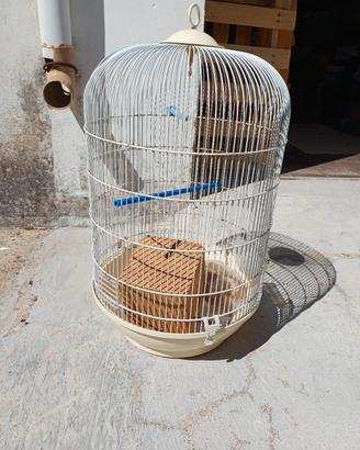 gabbia voliera  per uccelli