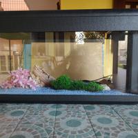 ACQUARIO PER PESCI