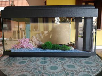 ACQUARIO PER PESCI