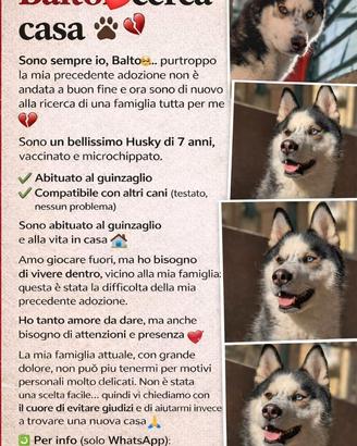 Balto