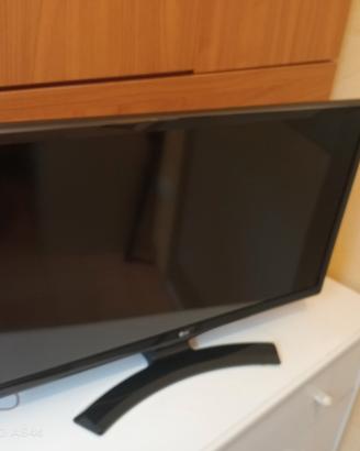 Smart TV LG 24 pollici 