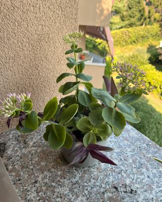 Composizione floreale