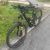 Ebike - Bosh Performance CX