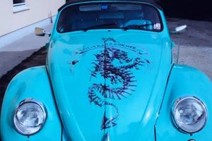 Maggiolino speedster