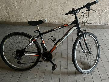 Biclicletta Mountain bike