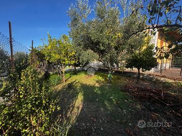 TER. AGRICOLO A ALTAVILLA MILICIA