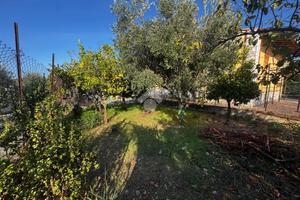TER. AGRICOLO A ALTAVILLA MILICIA
