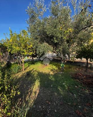 TER. AGRICOLO A ALTAVILLA MILICIA