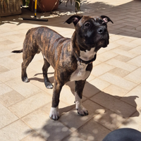 Una fidanzata per Theo