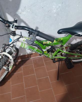 Bici misura 20 bambino