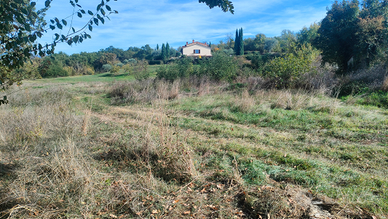 Terreno agricolo di 4000 mq