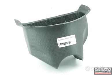 Musetto airbox carbonio Ducati 996 RS