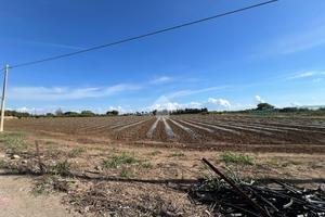 TER. AGRICOLO A MESAGNE