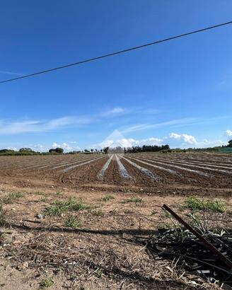 TER. AGRICOLO A MESAGNE