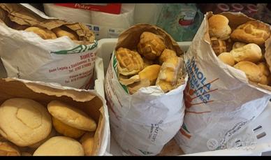 pane duro per animali