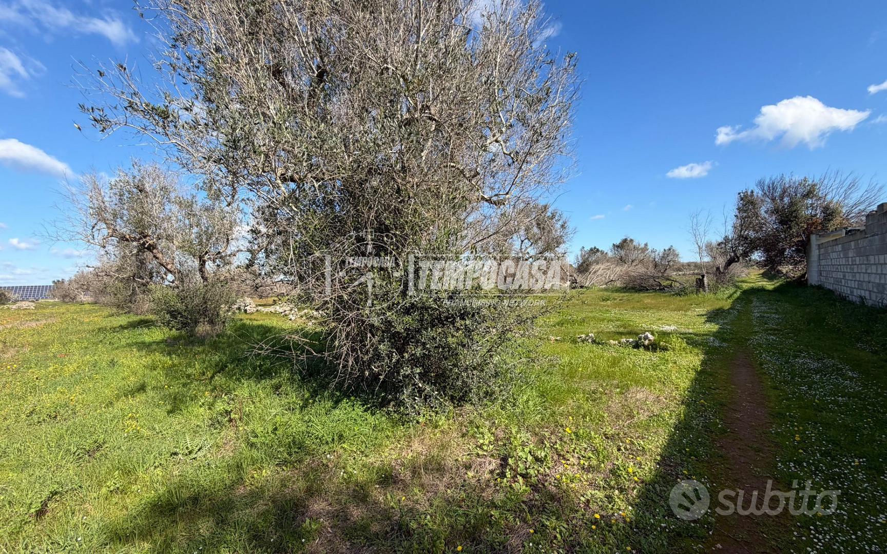 Terreno agricolo a Sanarica 1 locali - Vista 4