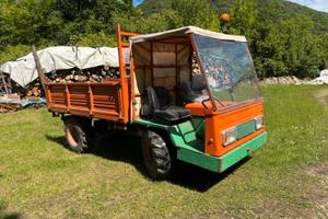 Motoagricola goldoni 324